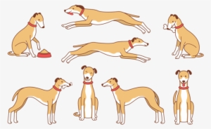 Whippet Cartoon Vector - Dog