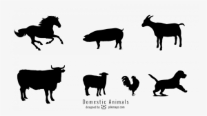 Vector Image Domestic Animal Silhouette Png File - Horse