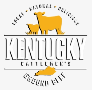 Our Fresh, Natural Product Is Sourced From Kentucky - Dairy Cow