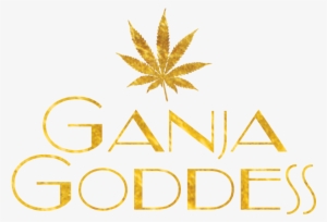 Are You 21 Or Older - Goddess Png