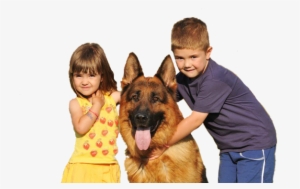 Home Protection Dogs Blog - German Shepherd