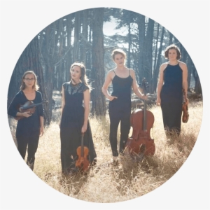 Amaranth Quartet - Collin Kriner