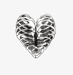 Heart, Bones, And Black And White Image - Skeleton Heart Transparent