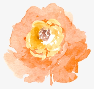 Orange Transparent Watercolour - Peach Watercolor Flower Png