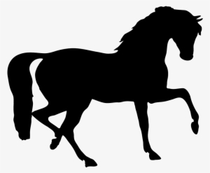 Stallion Clipart Transparent - Horse Silhouette Png