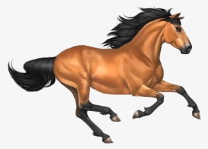 Mustang Horse Png Image - Transparent Background Horse Clipart