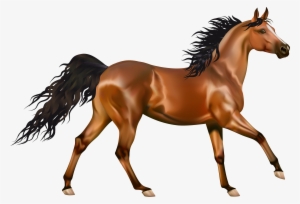 Transparent Brown Horse Png Clipart - ح Words