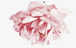 Tumblr Transparents Google Search Png Pinterest Texting