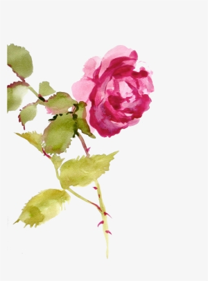 Http Jaehos Tumblr Com Post Texture Pack - Watecolor Flowers