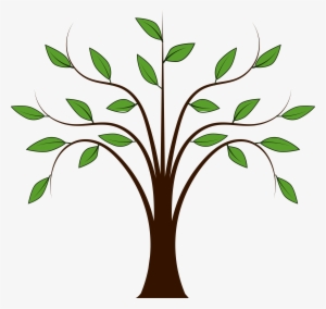 Trees Family Tree Clipart Free Images - Cartoon Tree With Leaves