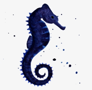 Sea Turtle Sea Horse By Chrystal Elizabeth - Customize Waterproof Seahorse Watercolor Personalize