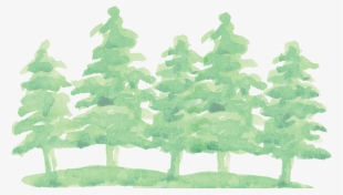 Watercolor Pine Tree Png - Transparent Watercolor Christmas Tree Png