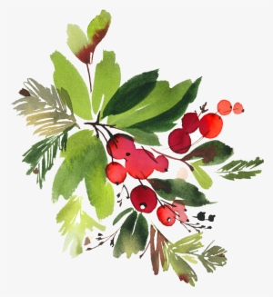 Snowman Watercolor Flowers Png - Christmas Berry Watercolor