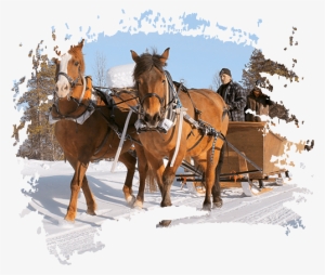 Carousel Horse Sled - One Horse Sleigh Watercolor