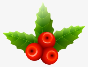 Mistletoe Png