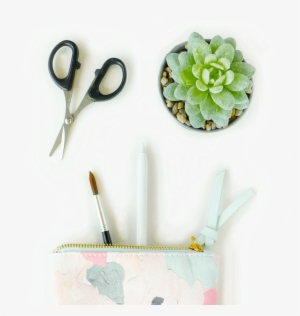 Ipad Watercolor Pencil Case Square - Echeveria