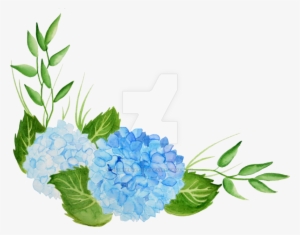 Hydrangea With Italian Crocus - Watercolor Hydrangea Png