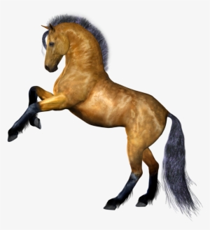 Horse Png Image - Horse Transparent Background