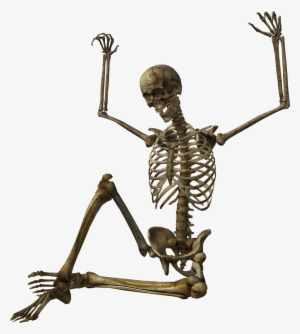 Skeleton Png Image - Скелеты Png