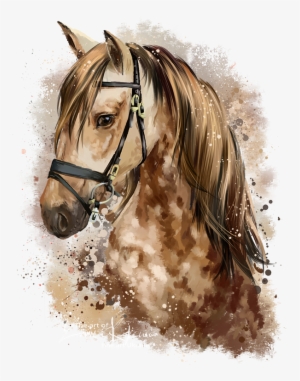 Horse By Kajenna - Disegni Testa Di Cavallo