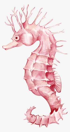 Watercolor Seahorse Cartoon Transparent - Portable Network Graphics