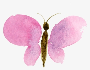 Craftberry Bush - Watercolor Clipart No Background