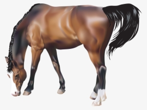 Download - Animals Png Free Download