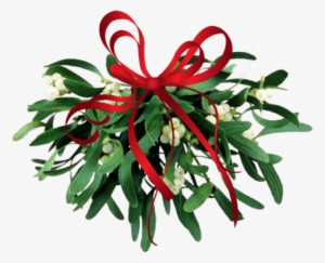 Where To Find Mistletoe - Transparent Mistletoe Clipart