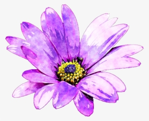 Watercolour Flower Png Image Free Stock - Watercolor Purple Daisy