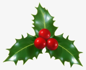 Mistletoe Png