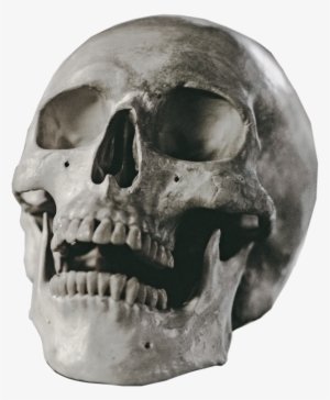 Halloween Skull Vector Free Png Background Image - Skull