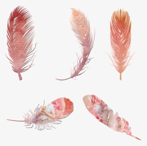 Scrapbooking, Feathers, Elements, Arrow, Bohemian - Feathers Jpg Free Clipart