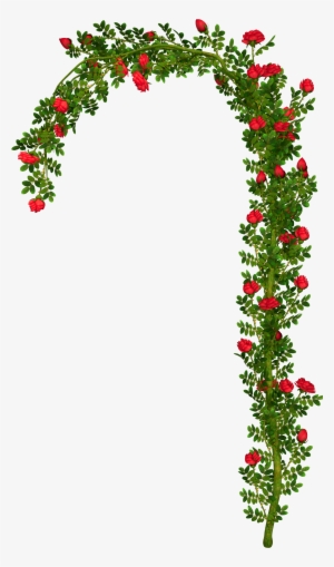 Rosebush Element Png Picture - Rose Arch Png