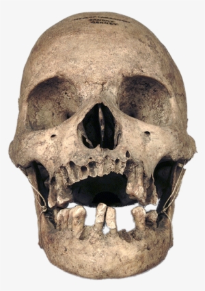 Real Skull, Calavera, Craneo, Skull Png And Psd - Real Skull