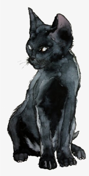 Tumblr Mmvdromx6f1s5oj6oo1 500 - Black Cat Drawing Png