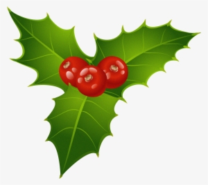 Christmas Mistletoe Clipart