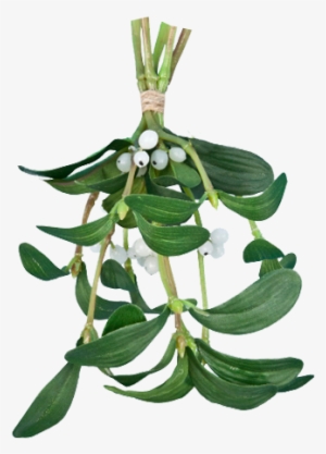 Mario And Rainbow Luigi Daniotheman