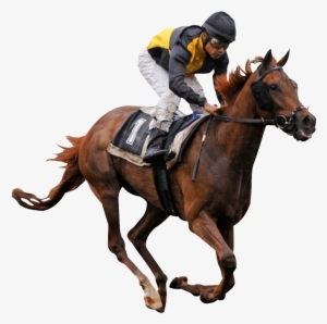 Horse Racing Png