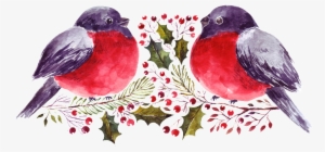 Transparent Ornamental Material For Cartoon Watercolor - Portable Network Graphics