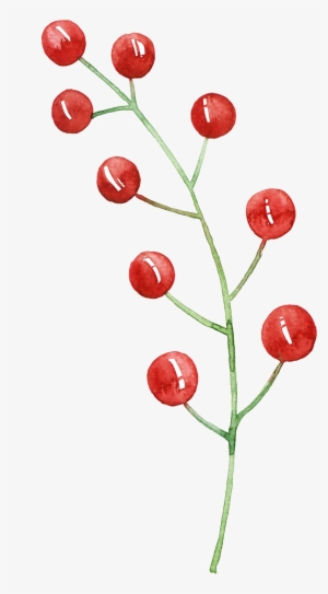 This Graphics Is Red Fruit Cartoon Transparent About - Portable Network Graphics