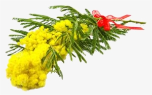 Goldenrod Drawing Watercolor