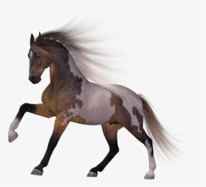 Download Horse Png Transparent Images Transparent Backgrounds - Horse