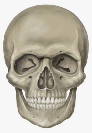 Skeleton Head Free Download Png - Skeleton Head Png