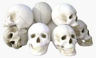 Skull Png Transparent Image - Icon Skull