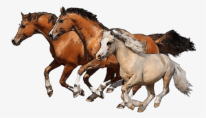 Clip Art Of Horses - Running Horses Png