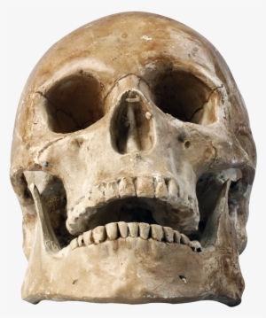 Skull Png Transparent Image - Png Skull