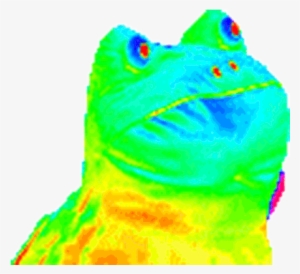 Top Illuminati Mlg Meme Images For Pinterest Tattoos - Rainbow Frog Png