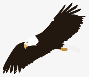 Soaring Eagle Png Image - Transparent Background Eagle Clipart