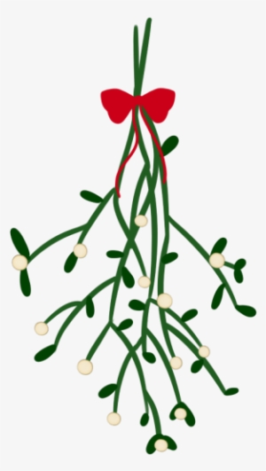 No No No Clip Art - Mistletoe Png