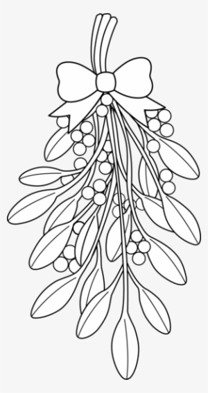 Christmas Mistletoe Line Art - Mistletoe Drawing